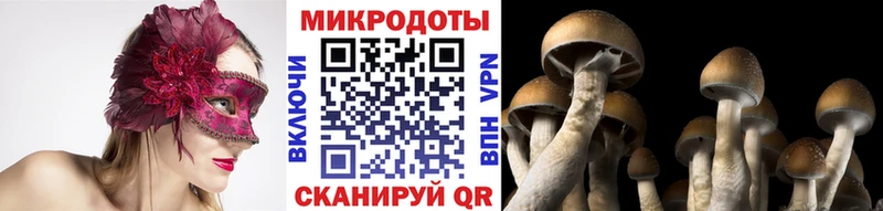 Галлюциногенные грибы мухоморы  Елабуга 