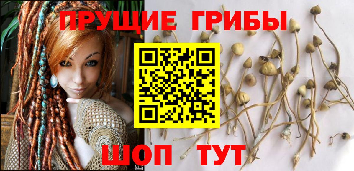Галлюциногенные грибы MAGIC MUSHROOMS Елабуга