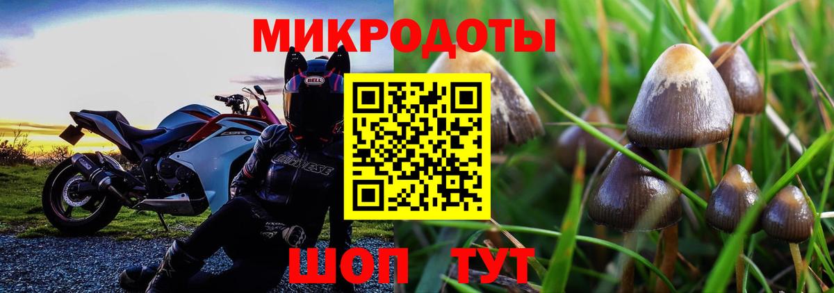 Елабуга  Галлюциногенные грибы Psilocybe  Галлюциногенные грибы мицелий  Вход с VPN 