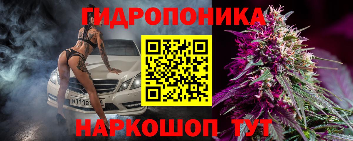 Каннабис конопля  Елабуга  МАРИХУАНА гибрид  Бошки марихуана OG Kush 